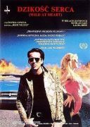 Dzikosc serca / Wild at Heart (1990) [MULTi] [1080p] [WEB-DL][H 264-DSiTE] [Lektor &amp; Napisy PL]