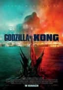 Godzilla vs Kong (2021) [MULTi.1080p.BluRay.x264.AC3.DDP7.1-DENDA] [Lektor PL] [mkv]  [FIONA9]