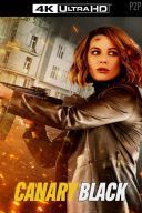 Niezniszczalna / Canary Black (2024) [PL.1080p.AMZN.WEB-DL.H264.DDP5.1-FOX]  [Lektor PL] [mkv]  [FIONA9]