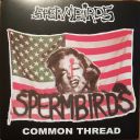 SPERMBIRDS - COMMON THREAD (1990/2020) [WMA] [FALLEN ANGEL]