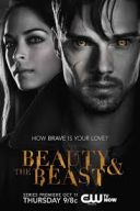 Piękna i Bestia / Beauty and the Beast (2012) S04E09 [PL.720p.IT.WEB-DL.H265.DarK] [Lektor PL] [mkv] [FIONA9]