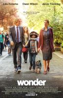 Cudowny chłopak / Wonder (2017) [MULTi.1080p.BluRay.x264-DSiTE] [Lektor PL] [mkv]  [FIONA9]