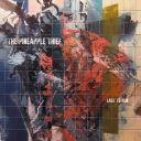 The Pineapple Thief (UK) - Last To Run (2024) [24bit-48kHz] [FLAC] [t0deusz]