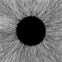 VOLA - WITNESS (2021) [WMA] [FALLEN ANGEL]