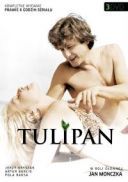 Tulipan (1986) S01E01 [1080p.WEB-DL.H264-AS76-FT] [serial polski] [mkv]  [FIONA9]