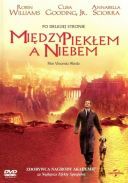 Miedzy pieklem a niebem / What Dreams May Come (1998) [V2 MULTi 1080p BluRay x264 DTS AC3-DENDA] [Lektor PL] [mkv] [FIONA9] [#401 TOPFILMYFILMWEB]