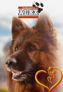 Komisarz Alex 2011-2025 [S01-24] [720p.WEB-DL.H264-FT] [Serial Polski] [Alusia]