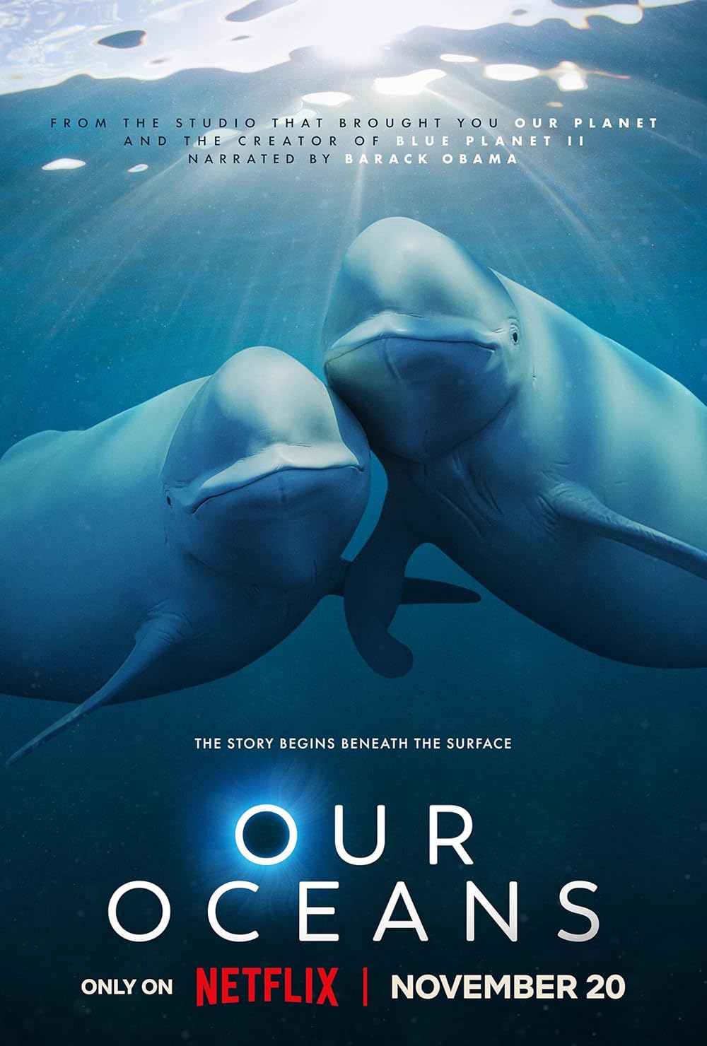 Nasze oceany / Our Oceans (2024) S01E01 [MULTi.1080p.NF.WEB-DL.x264-KiT] [Lektor PL] [mkv]  [FIONA9]