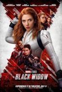 Czarna Wdowa / Black Widow (2021) [1080p.BluRay.3D-hou.x264.AC3] [Lektor PL] [mkv]  [FIONA9]