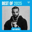 VA - DJ Hits -  Best of 2025 - 2025 - FLAC 16BITS 44.1KHZ-EICHBAUM