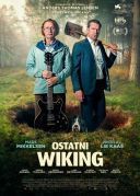 Ostatni wiking / The Last Viking / Den sidste viking (2025) [PL.480p.AC3.BRRip.XviD-GR4PE] [Lektor PL] [avi] [FIONA9]