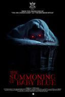 Wyzwanie Baby Blue / The Summoning of Baby Blue (2025) [PL.1080p.WEB-DL.H264-OzW] [Lektor PL] [mp4]  [FIONA9]