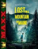 Pokonac gore / Lost on a Mountain in Maine (2024) PL.1080p.BDRip.XviD-MAXX / Lektor PL