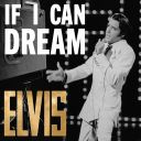 Elvis Presley - If I Can Dream The Very Best of Elvis (2022) [MP3] [ENG] [rar]  [FIONA9]