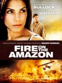Amazonka w ogniu / Fire on the Amazon (1993) [PL 1080p WEB-DL H264] [Lektor PL] [mkv]  [FIONA9]
