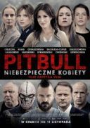 Pitbull. Niebezpieczne kobiety (2016) [PL_1080p.BluRay.x264.DTS-K37] [Film polski] [mkv]  [FIONA9]