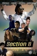 Section 8 (2022) [XviD.720p] [DD 2.0] [Lektor PL]