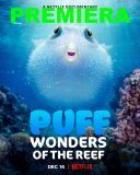Z rozdymka przez rafe koralowa - Puff: Wonders of the Reef (2021) [PL 1080p NF WEB-DL X264-J] [Lektor PL] [mkv] [FIONA9]