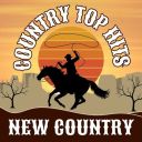 VA - Country Top Hits – New Country (2024) [Mp3 320kbps]