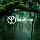 Deep Forest - Studio Albums and Projects [Remastered] (1994-2025) [FLAC]