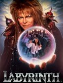 Labirynt / Labyrinth (1986) [PL 1080p BDRip H264] [Lektor PL] [mkv]  [FIONA9]