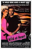 Dzikość serca / Wild at Heart (1990) [PL 1080p BDRip x264] [Lektor PL] [mkv]  [FIONA9]