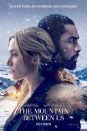 Pomiędzy nami góry / The Mountain Between Us (2017) [MULTi.1080p.BluRay.x264.DTS.AC3-DENDA] [Lektor PL] [mkv]  [FIONA9]