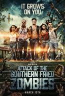 Kudzu Zombie / Attack of the Southern Fried Zombies (2017) [BRRip] [XviD-MORS] [Lektor PL] [avi]  [FIONA9]