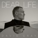 David Gray - Dear Life (2025) [Flac]