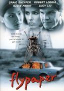 Lep na muchy Flypaper (1997)[WEB-DL] Lektor PL] [joanna668]