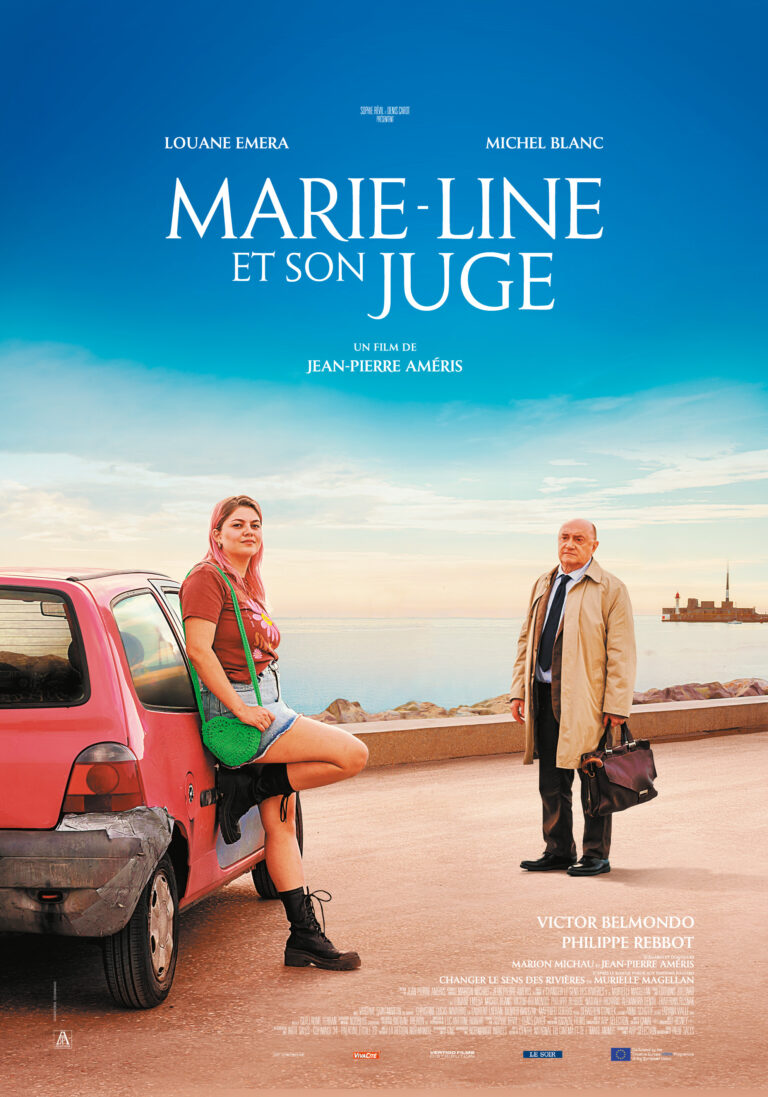 Take a Chance on Me / Marie-Line et son juge (2023) [MULTi.1080p.MAX.WEB-DL.x264-KiT] [Lektor PL] [mkv]  [FIONA9]