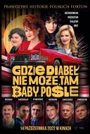Gdzie diabeł nie może, tam Baby pośle (2022) [PL.480p.WEB-DL.XviD.AC3] [Lektor PL] [avi]  [FIONA9]