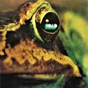 TOAD - TOAD (1971/2026) [MP3@320] [FALLEN ANGEL]