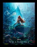 Mała syrenka / The Little Mermaid (2023) [PLDUB.BDRip.XViD-MG] [Dubbing  PL] [avi]  [FIONA9]