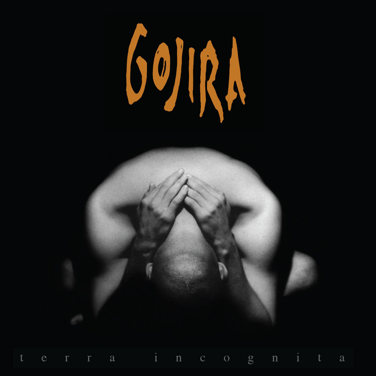 GOJIRA - TERRA INCOGNITA (2001/2016) [MP3@320] [FALLEN ANGEL]