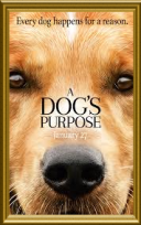 Był sobie pies / A Dog\'s Purpose (2017) [m1080p] [BluRay] [x264-DarkClub] [AC-3] [Dubbing PL]