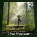 Deep Forest - Serene Woodlands (2024) [Flac]