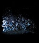 THE DILLINGER ESCAPE PLAN - DISSOCIATION (2016) [WMA] [FALLEN ANGEL]