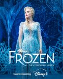 Kraina Lodu na Broadwayu / Frozen: The Hit Broadway Musical (2025) [PLSUB.2160p.DSNP.WEB-DL.HDR.H265.DDP5.1.Atmos-K83] [Napisy PL] [mkv]  [FIONA9]