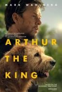 Moj pies Artur / Arthur the King (2024) [1080P] [WEBRIP] [XVID] [AC-3] [NAPISY-PL]