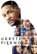 Ukryte piękno / Collateral Beauty (2016) [1080p] [BDRip] [H264] [DD5.1-S56] [Lektor PL]