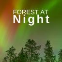 Deep Forest - Forest at Night Relaxing Nature Night Sounds (2019) [Flac]