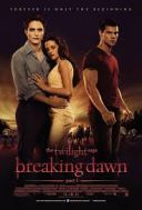 Saga &quot;Zmierzch&quot;: Przed świtem. Część 1 / The Twilight Saga: Breaking Dawn - Part 1 (2011) [h265] [3840x1600] [Lektor PL] [mkv]  [FIONA9]
