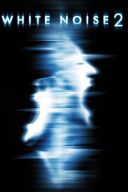 Głosy 2 / White Noise 2: The Light (2007) [PL.1080p.BRRip.x264] [Lektor PL] [mkv]  [FIONA9]