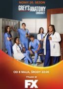 Chirurdzy / Grey's Anatomy (2024) [Sezon 20] [MULTi] [1080p] [DSNP] [WEB-DL] [DDP5 1] [H264-Ralf] [Lektor &amp; Napisy PL]