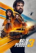 Zagubiona kula 3 / Last Bullet / Balle perdue 3 (2025) MULTi.2160p.NF.WEB-DL.SDR.DDP5.1.HEVC-P2P ~ Lektor i Napisy PL