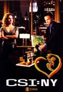CSI Kryminalne zagadki Nowego Jorku - CSI New York 2004-2013 [S01-S09] [10Bit] [1080p.WEB-DL.H265-AS76-FT] [Lektor PL] [Alusia]