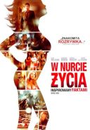 W nurcie życia - Middle Men 2009 [1080p] [BluRay.H264.AC3-5.1] [MKV] [Lektor PL] [RobSil]