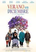 Lato w grudniu / Verano En Diciembre (2024) [PL.720p.AC3.WEB-DL.XviD-GhostG] [Lektor PL] [avi] [FIONA9]