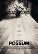 Possum (2018) [MULTI PL 1080p x264 -LTN] [Lektor PL] [mkv] [FIONA9]